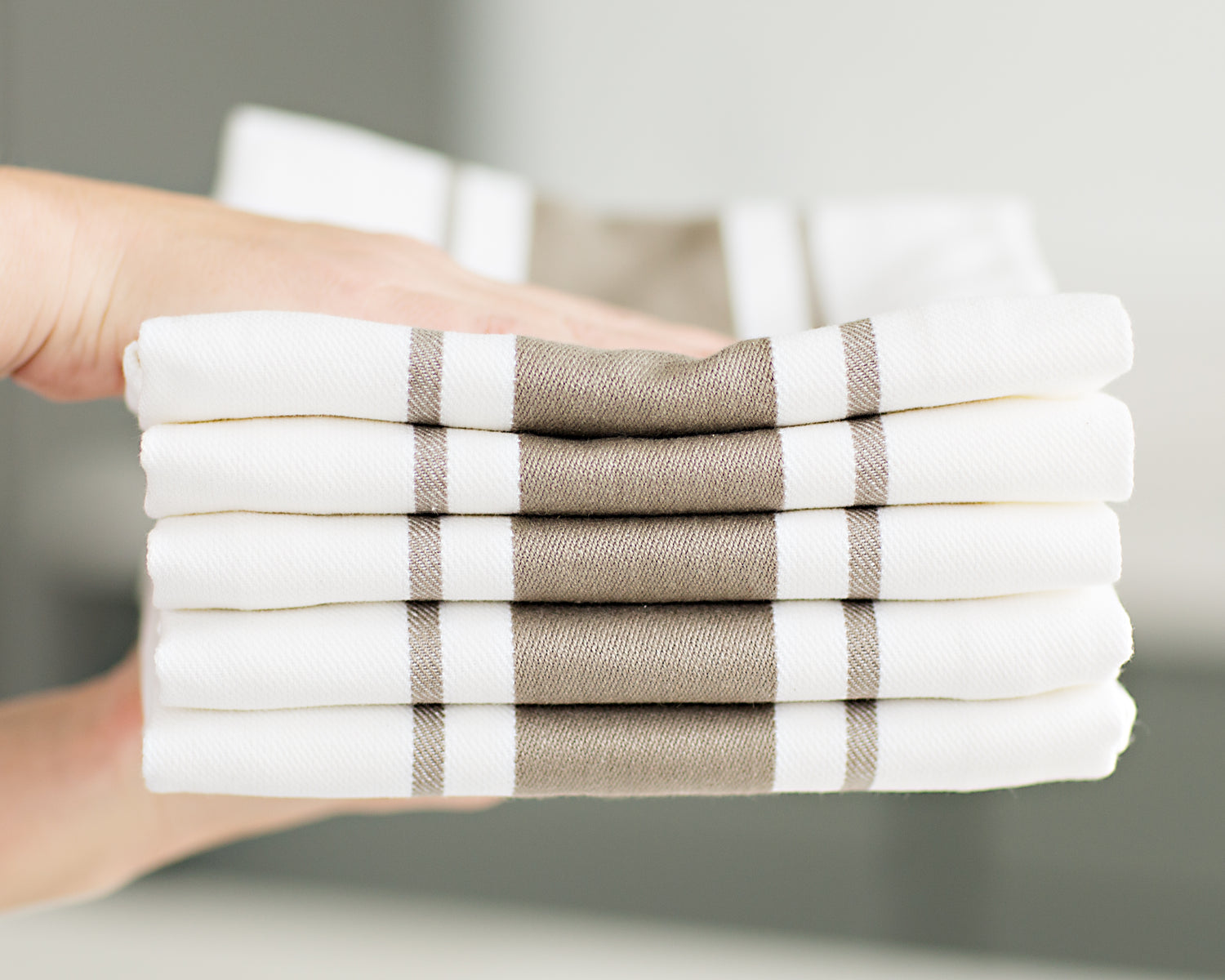 Kitchen Towels Set - Pack of 6 Cotton Dish Towels for Drying Set of 6 Beige